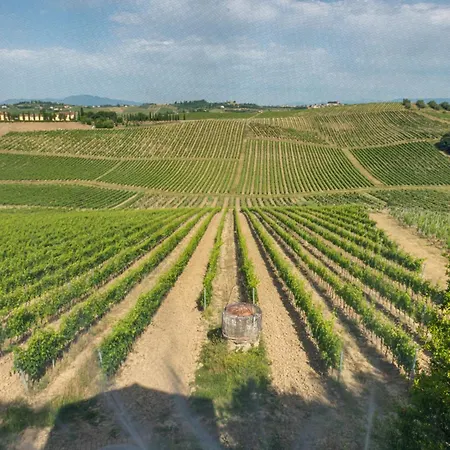 Prázdninový dům Casa Leccio Relax Con Vista